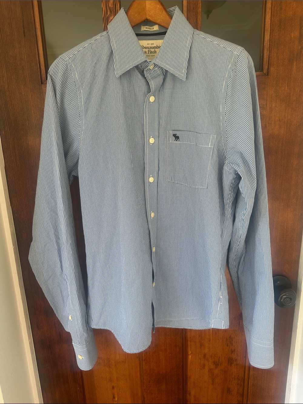 Abercrombie & Fitch Muscle Fit Gingham Button Down Shirt Men's M Blue White